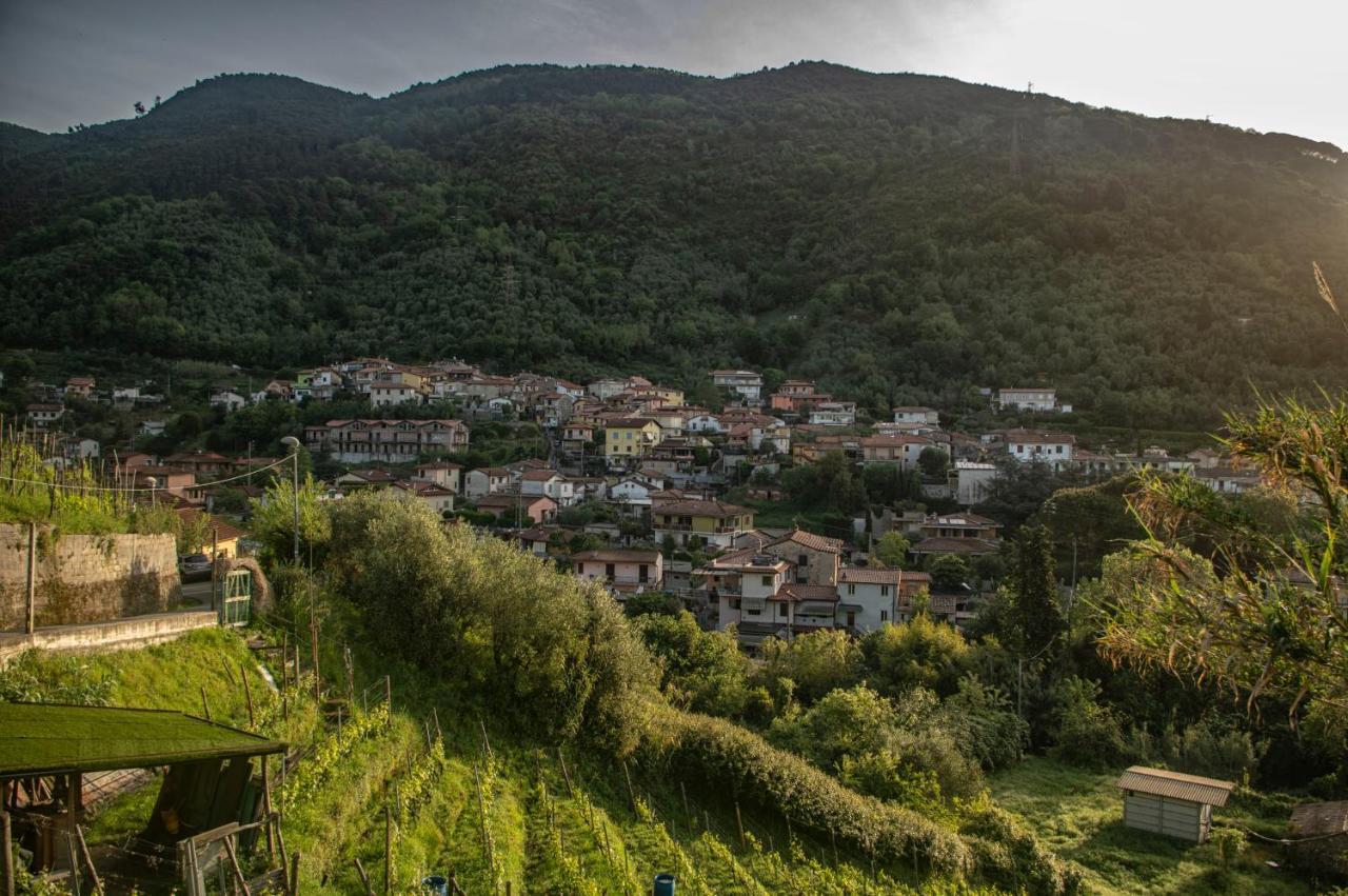 B&B La Foglia Verde Massa  Zewnętrze zdjęcie